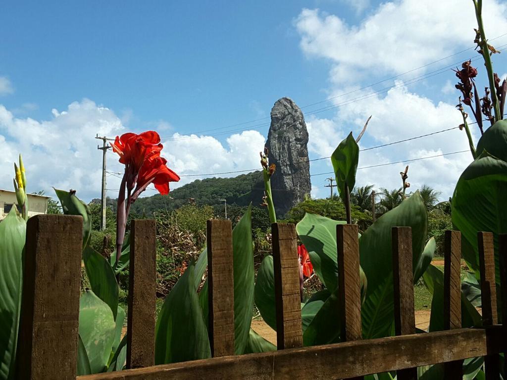 Pousada Morro Do Pico フェルナンド・デ・ノローニャ エクステリア 写真