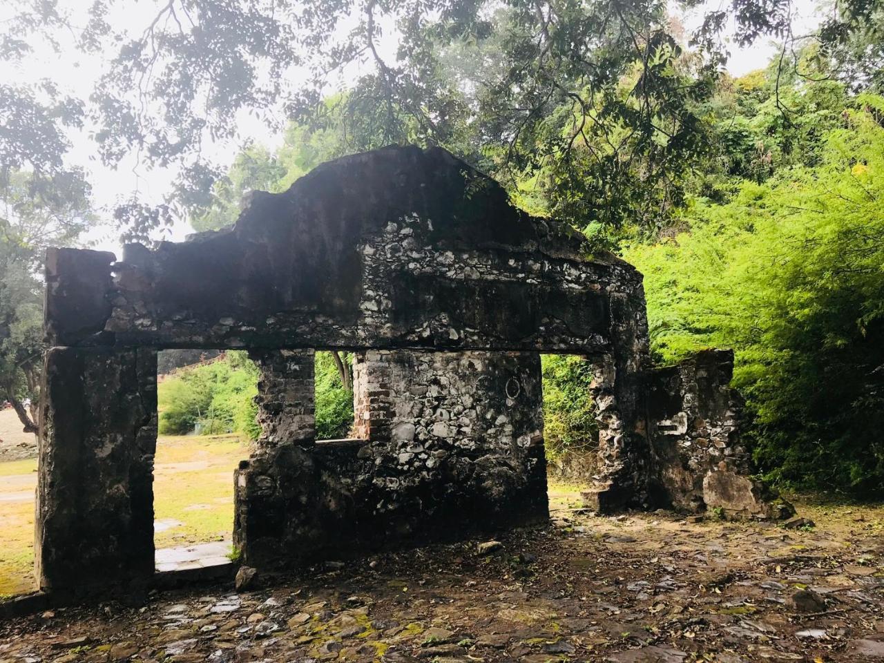 Pousada Morro Do Pico フェルナンド・デ・ノローニャ エクステリア 写真